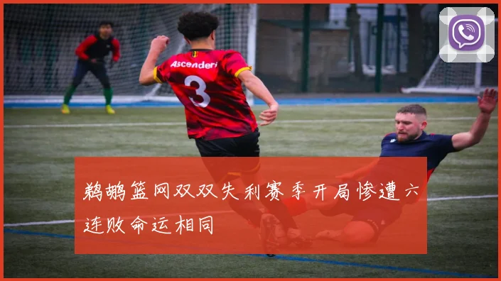 鹈鹕篮网双双失利赛季开局惨遭六连败命运相同