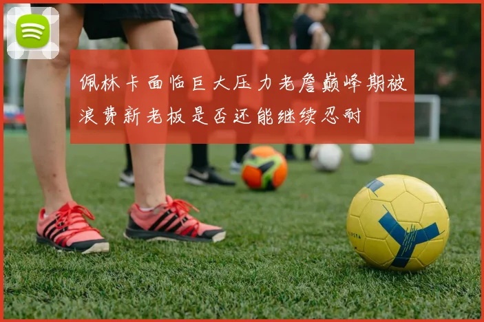 佩林卡面临巨大压力老詹巅峰期被浪费新老板是否还能继续忍耐