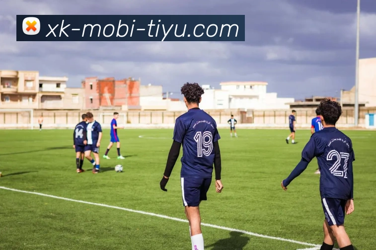 多媒体互动体验